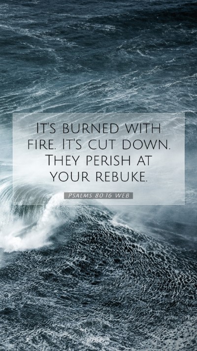 Picture 07 - Psalms 80:16 WEB Mobile Phone Wallpaper - It's burned with fire. It's cut down. They perish - Mobile Bible Verse Wallpaper