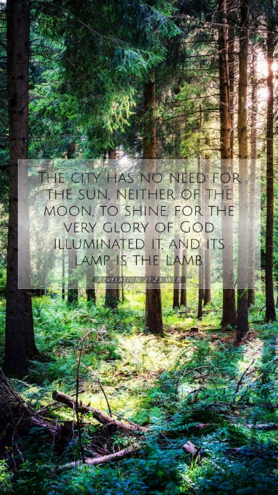 Picture 07 - Revelation 21:23 WEB Mobile Phone Wallpaper - The city has no need for the sun, neither of the - Mobile Bible Verse Wallpaper