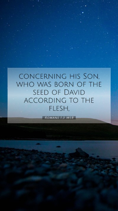 Picture 07 - Romans 1:3 WEB Mobile Phone Wallpaper - concerning his Son, who was born of the seed of - Mobile Bible Verse Wallpaper