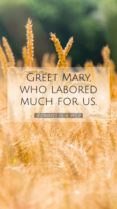 Picture 07 - Romans 16:6 WEB Mobile Phone Wallpaper - Greet Mary, who labored much for - Mobile Bible Verse Wallpaper