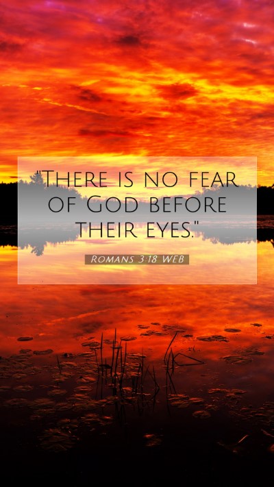 Picture 07 - Romans 3:18 WEB Mobile Phone Wallpaper - 