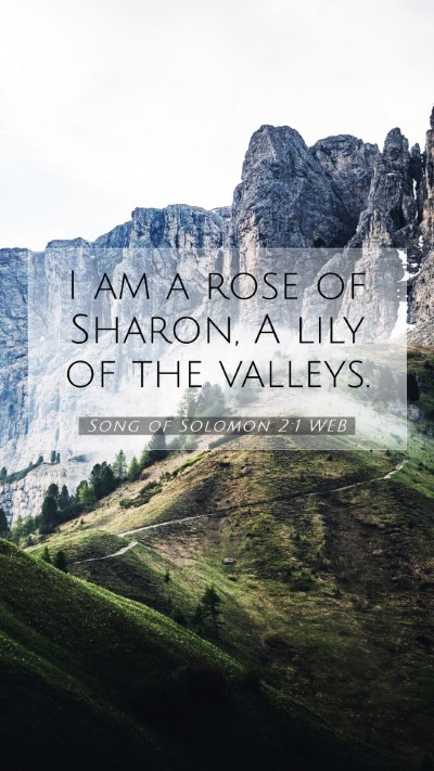 Picture 07 - Song of Solomon 2:1 WEB Mobile Phone Wallpaper - I am a rose of Sharon, A lily of the - Mobile Bible Verse Wallpaper