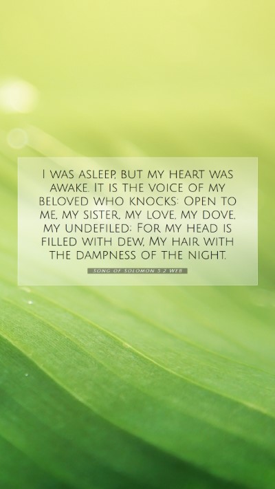 Picture 07 - Song of Solomon 5:2 WEB Mobile Phone Wallpaper - I was asleep, but my heart was awake. It is the - Mobile Bible Verse Wallpaper