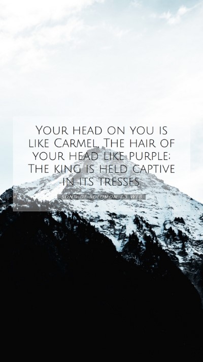 Picture 07 - Song of Solomon 7:5 WEB Mobile Phone Wallpaper - Your head on you is like Carmel, The hair of your - Mobile Bible Verse Wallpaper