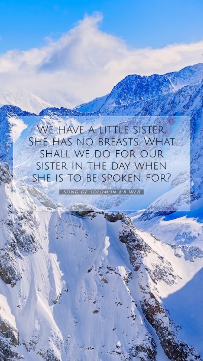 Picture 07 - Song of Solomon 8:8 WEB Mobile Phone Wallpaper - We have a little sister. She has no breasts. What - Mobile Bible Verse Wallpaper