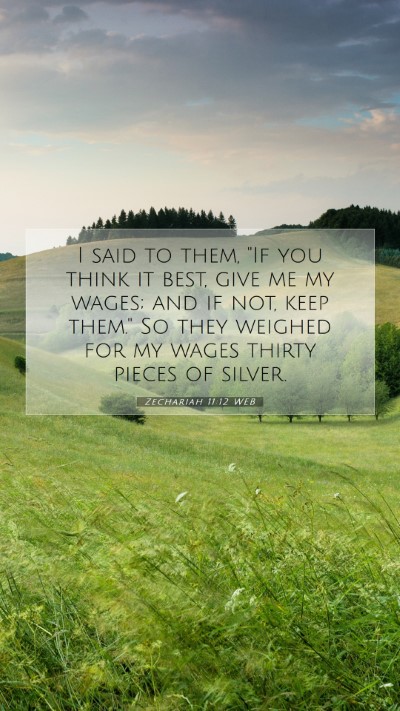 Picture 07 - Zechariah 11:12 WEB Mobile Phone Wallpaper - I said to them, 