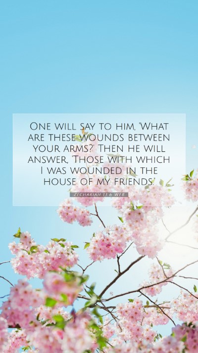 Picture 07 - Zechariah 13:6 WEB Mobile Phone Wallpaper - One will say to him, 'What are these wounds - Mobile Bible Verse Wallpaper